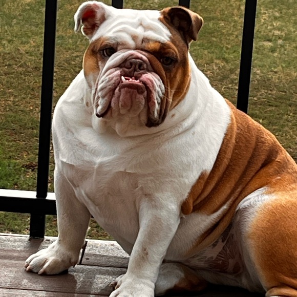 Our Baby Girl Miss Bella B - Picture 12 of 16